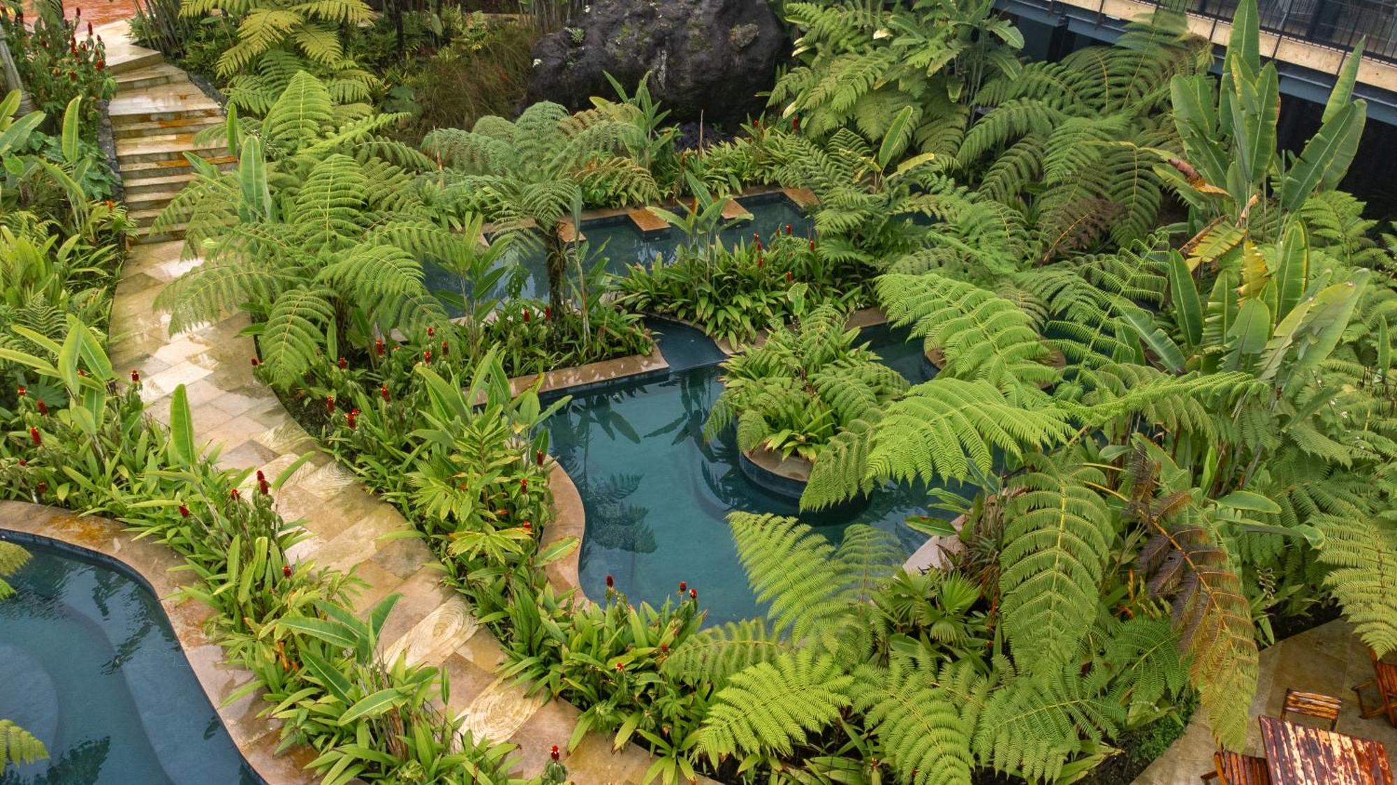 Termales El Otono Hotel La Enea Exterior foto The interior of the Rainforest biome