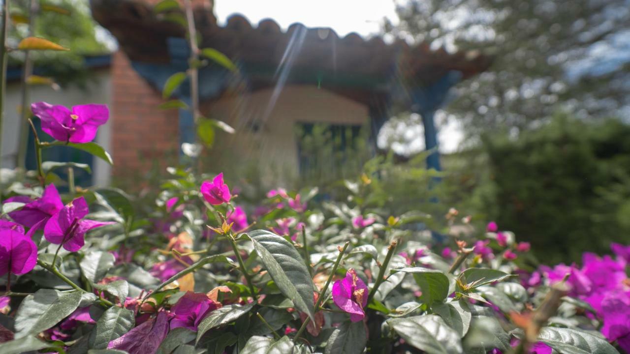 Termales El Otono Hotel La Enea Exterior foto A woman watering flowers